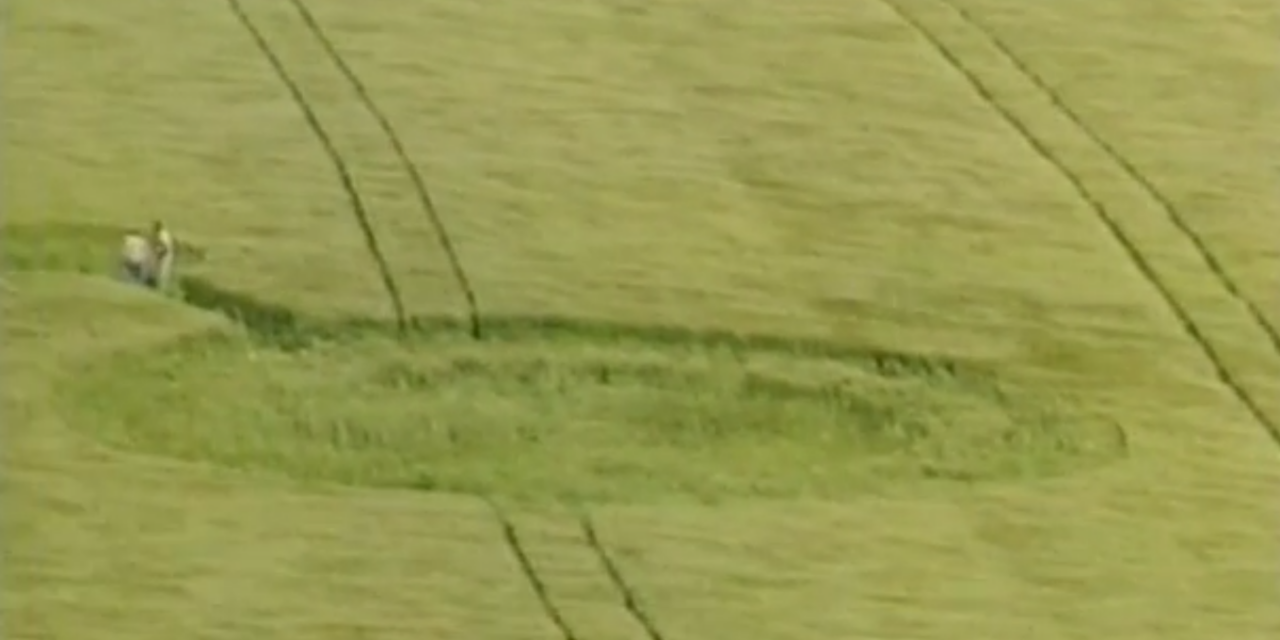 The Strange Case of Crop Circles