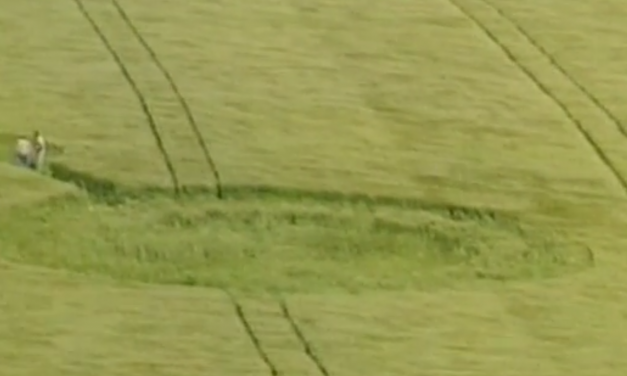 The Strange Case of Crop Circles