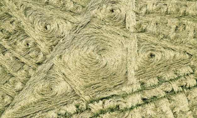 July 2014: Cherington Crop Circle