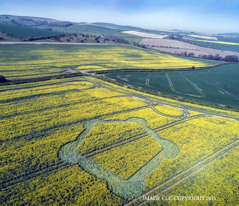 Photograph courtesy of the Crop Circle Connector.