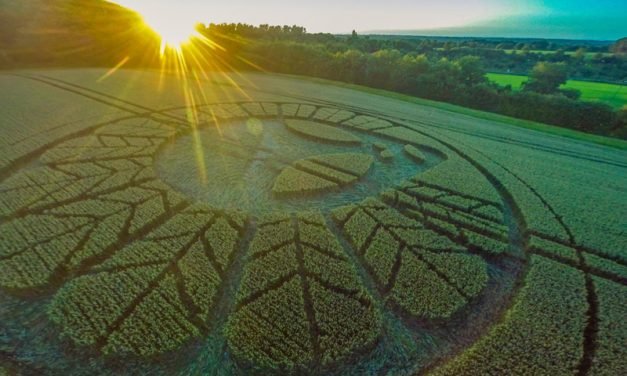 Angry Farmers: Reigate 2016