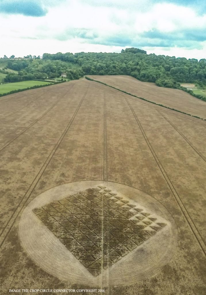 Photograph by the Crop Circle Connector.