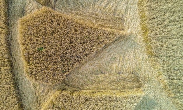 2016 Circles: Cley Hill