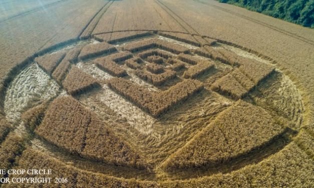 2016 Circles: Sparticles Wood, Chaldon