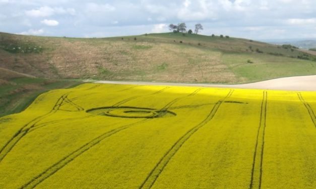 2017 Circles: Cherhill White Horse