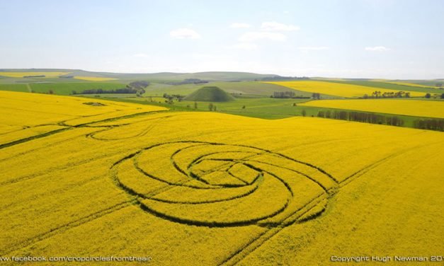 2017 Circles: Waden Hill, Avebury