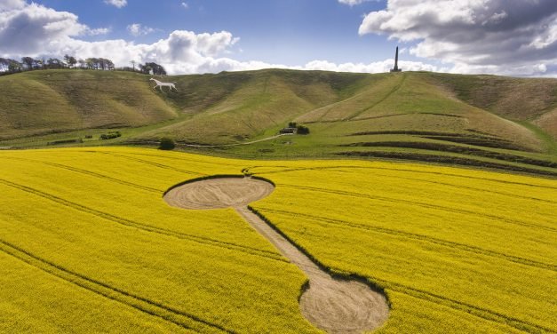 Angry Farmers: Cherhill Circle Cut