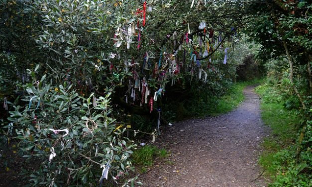 2017 Circles: Madron Holy Well, near Penzance