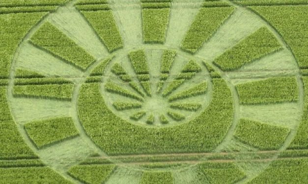 2017 Circles: Oxleaze Copse, Savernake Forest