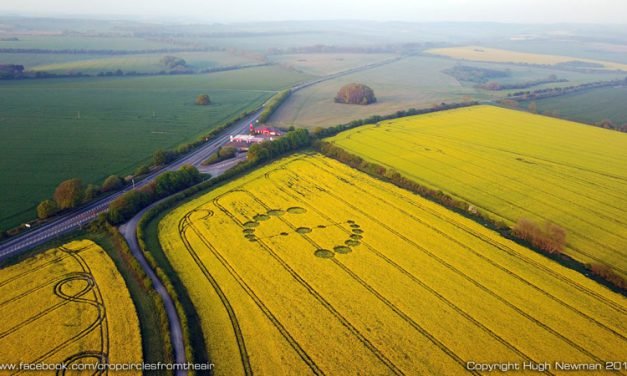 2017 Circles: Willoughby Hedge Hoax