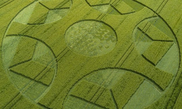 2017 Circles: Little Knoll, Bradley Maiden