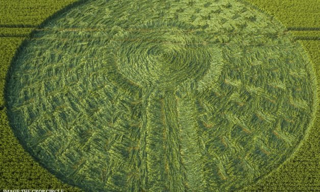 2017 Circles: West Kennett, near Avebury