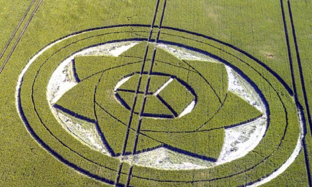 2017 Circles: Boreham Wood, near Lockeridge 