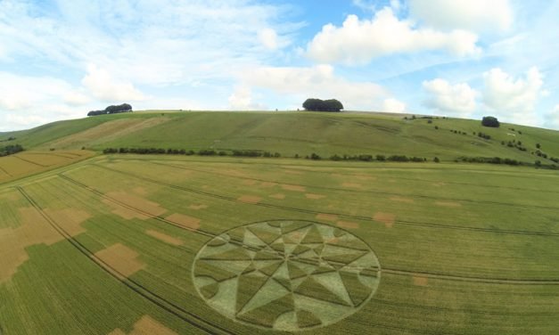 2017 Circles: Hackpen Hill, nr Broad Hinton
