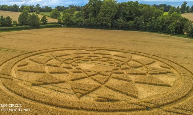 2017 Circles: Bydemill Copse, Hannington