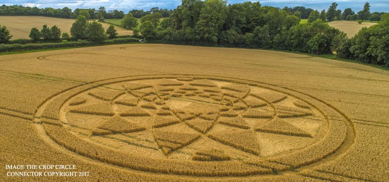 2017 Circles: Bydemill Copse, Hannington