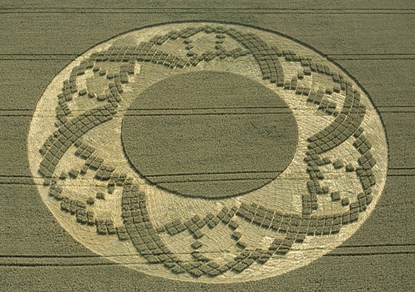 Books: Crooked Soley – A Crop Circle Revelation