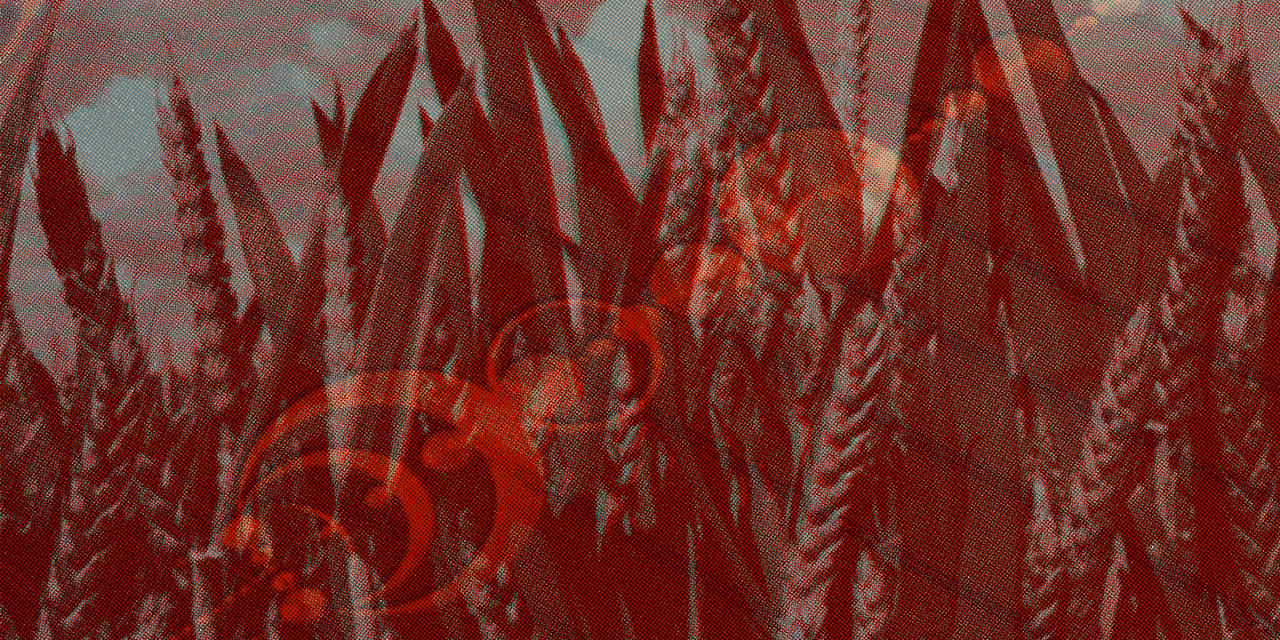 Crop Circle Hauntology