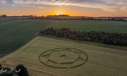 2018 Circles: Devil’s Den, Near Clatford, Wiltshire