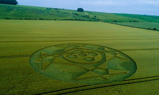 2018 Season: Hackpen Hill, Broad Hinton, Wiltshire