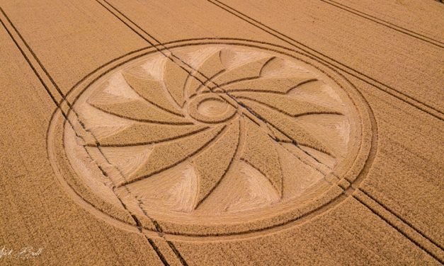 2018 Circles: Cliffords Hill, Allington, Wiltshire