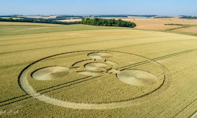 2018 Circles: Coneybury Hill Hoax, Wiltshire