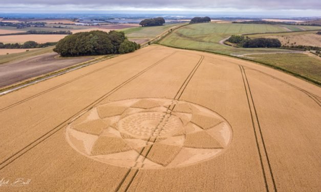 2018 Circles: Hackpen Hill (3), nr Broad Hinton, Wiltshire