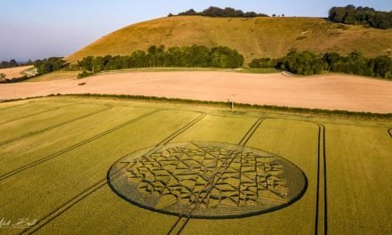 2018 Circles: Martinsell Hill Hoax, nr Wotton Rivers, Wiltshire