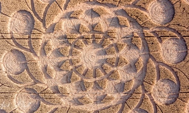 2018 Circles: Muncombe Hill Hoax