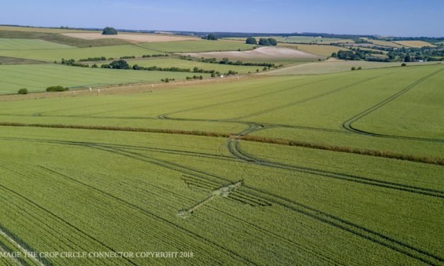 2018 Circles: Waden Hill, Avebury, Wiltshire