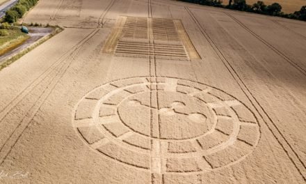Ten Monstrously Obvious Crop Circles