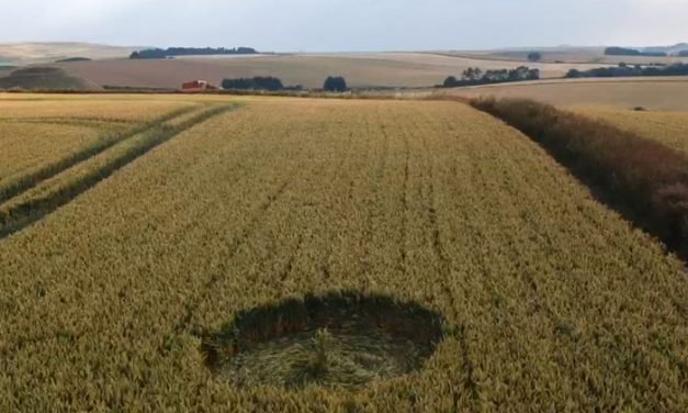 2018 Circles: Waden Hill (2), Avebury, Wiltshire