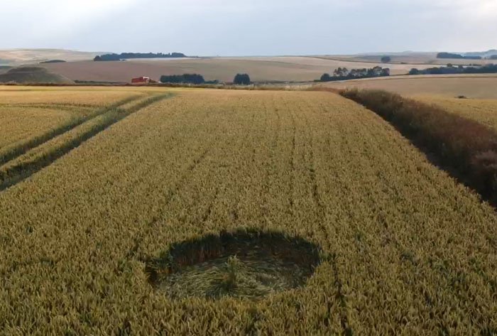 2018 Circles: Waden Hill (2), Avebury, Wiltshire