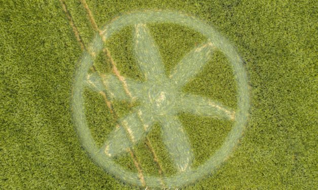 2019 Circles: Spiers Lane, Chilton Candover, Hampshire
