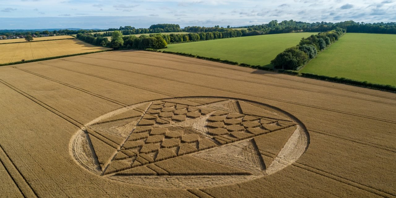 2019 Circles: Cocum Farm, Barton Stacy, Hampshire