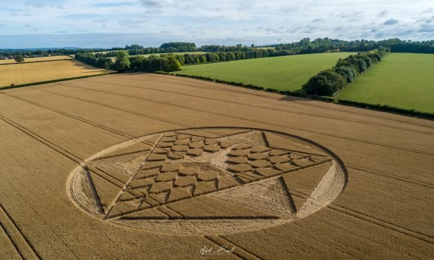2019 Circles: Cocum Farm, Barton Stacy, Hampshire