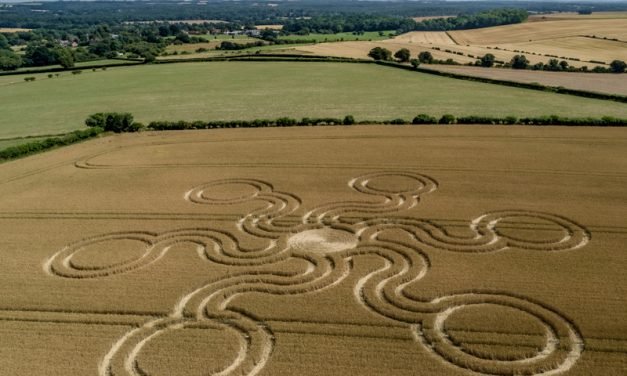 2019 Circles: Windwhistle Lane, West Grimstead Hoax