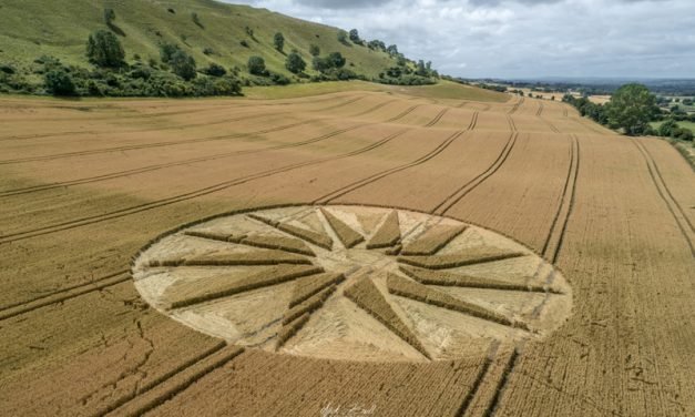 2019 Circles: Bratton Camp, Bratton, Wiltshire