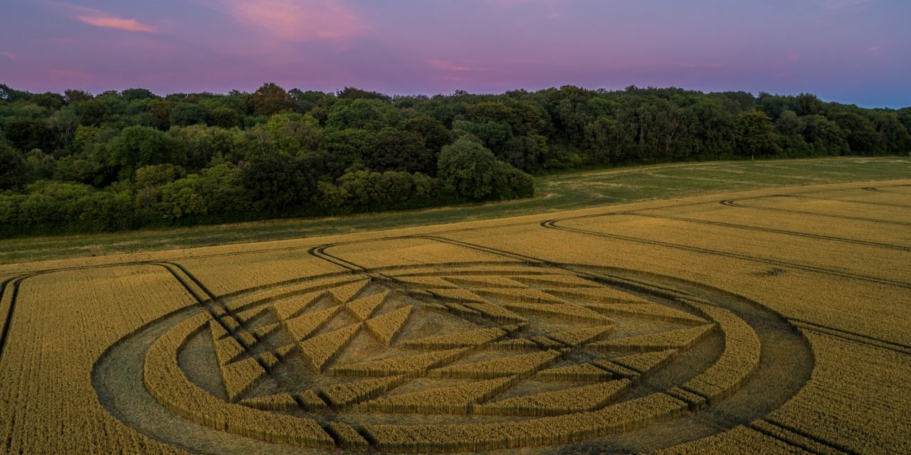 2019 Circles: Rodfield Lane, Tichborne, Hampshire