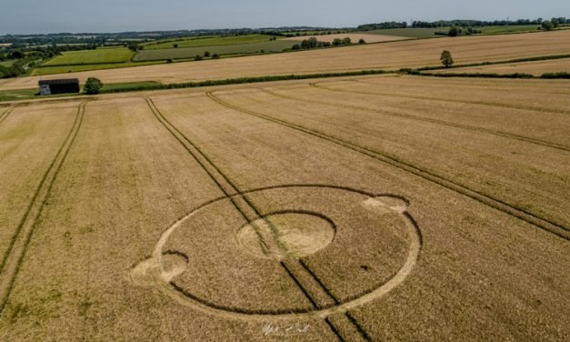 2019 Circles: Scrubbs Lane, Bishop’s Sutton, Hampshire