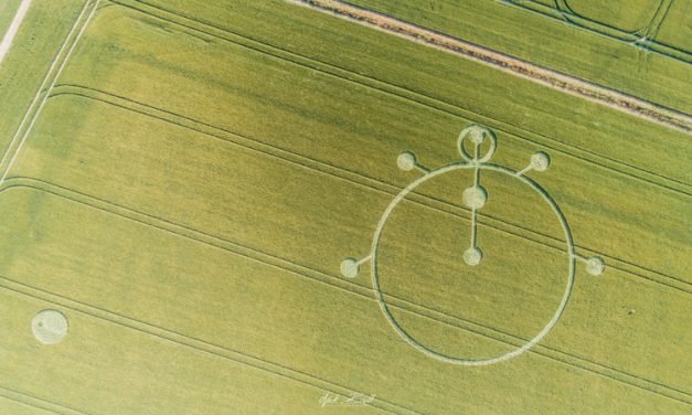 2019 Circles: Yarnbury Castle, Wiltshire