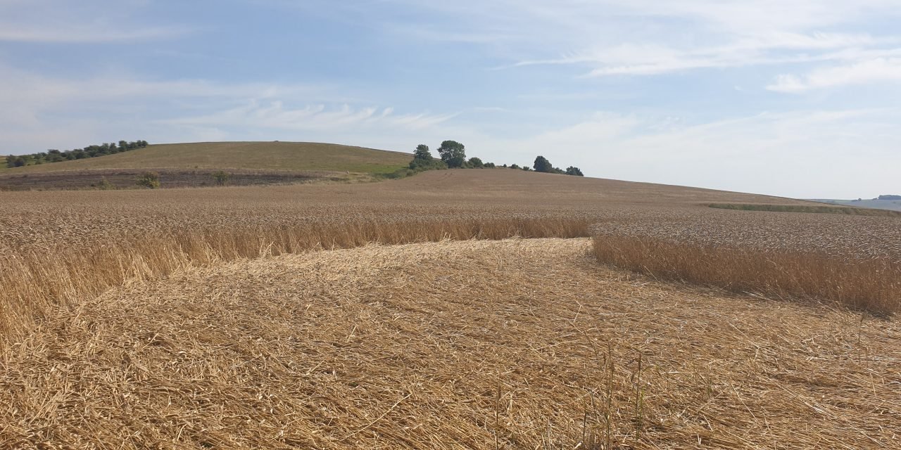 Books: The Energies of Crop Circles — The Science and Power of a Mysterious Intelligence