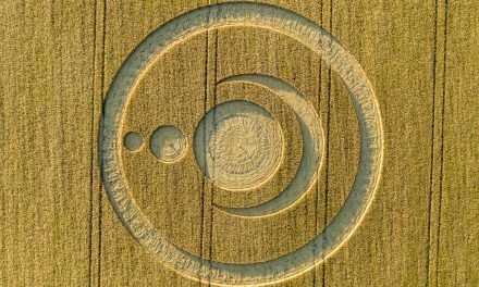 2019 Circles: Clear Wood, Warminster, Wiltshire
