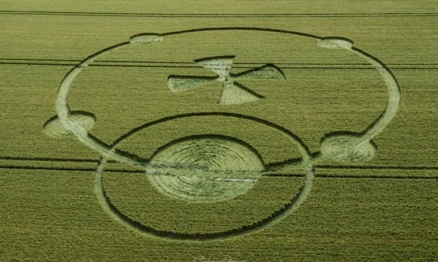 2020 Circles: Hunt’s Down, Wilton, Wiltshire
