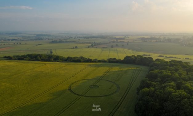 2020 Circles: Darrington, Nr Pontefract, West Yorkshire Hoax