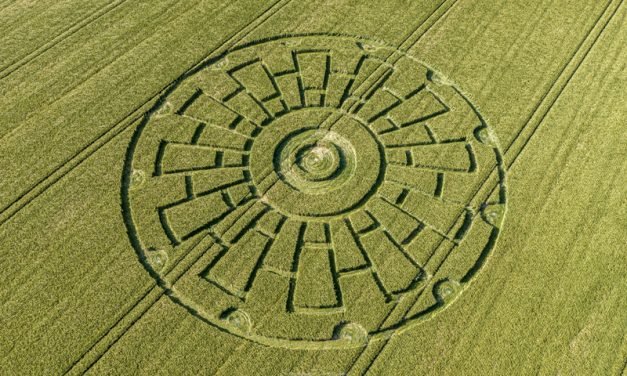 2020 Circles: Sixpenny Handley, Dorset