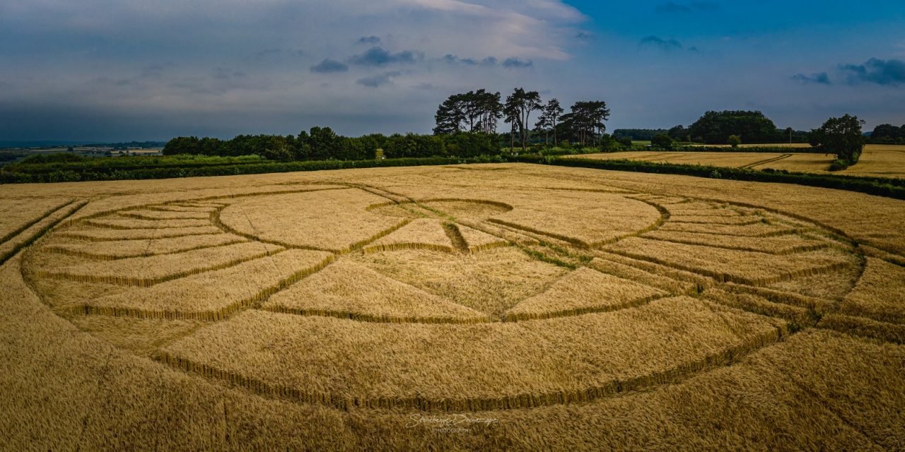 A Conspiracy Against Particular Crop Circles?