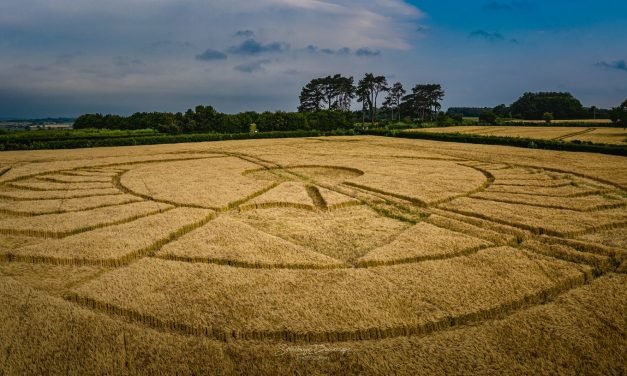 A Conspiracy Against Particular Crop Circles?