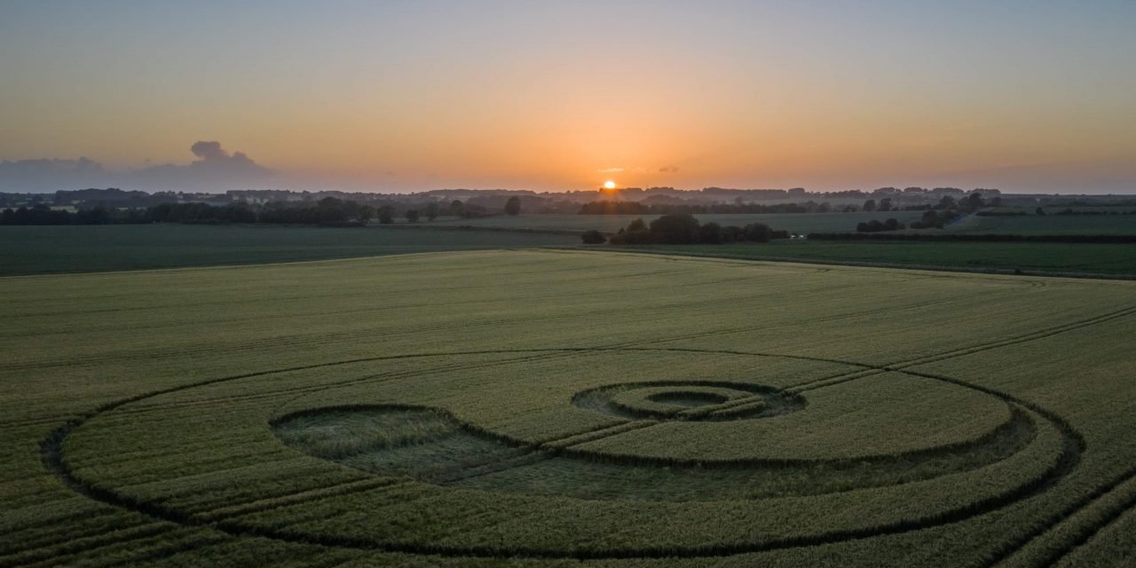 2020 Circles: Berwick Bassett Clump, Winterbourne Monkton, Wiltshire