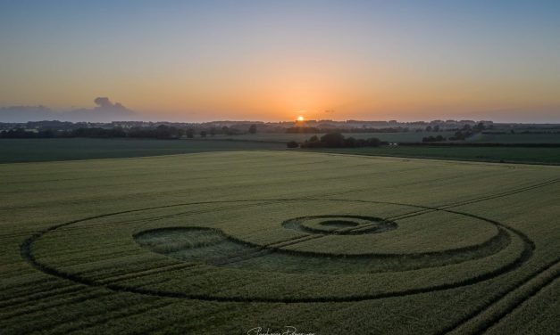 2020 Circles: Berwick Bassett Clump, Winterbourne Monkton, Wiltshire
